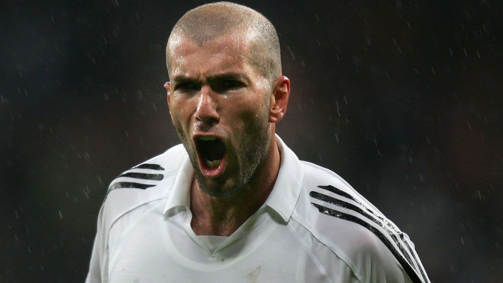 而明尼蘇達 而明尼蘇達